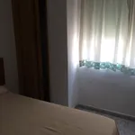 Malvarrosa